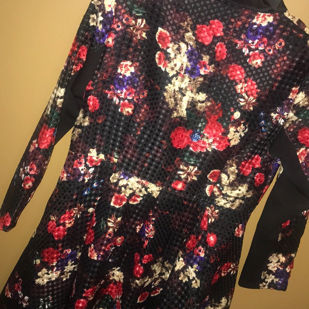 Red Roses Flared Dress - Picture 2 of 3